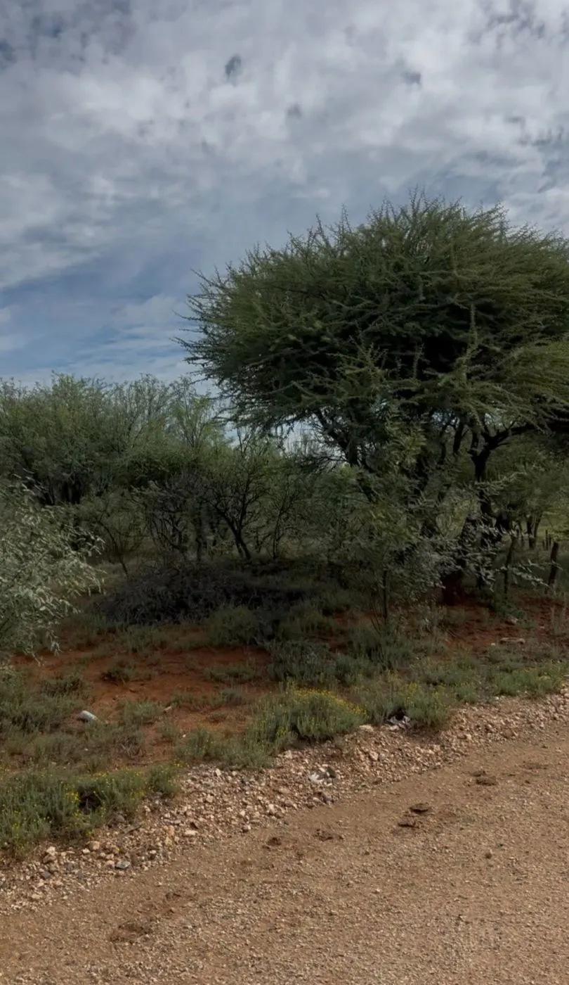 Vacant land sold in Ronaldsvlei - 1KJ1735183