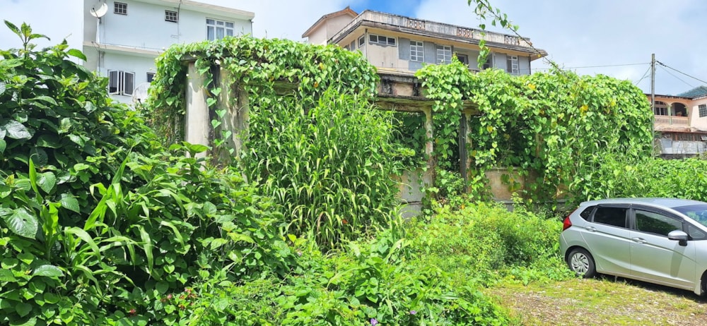 Residential vacant land for sale in Curepipe, Mauritius - MUR1735222