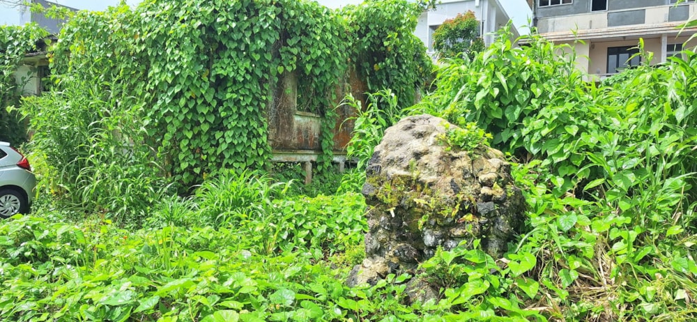 Residential vacant land for sale in Curepipe, Mauritius - MUR1735222