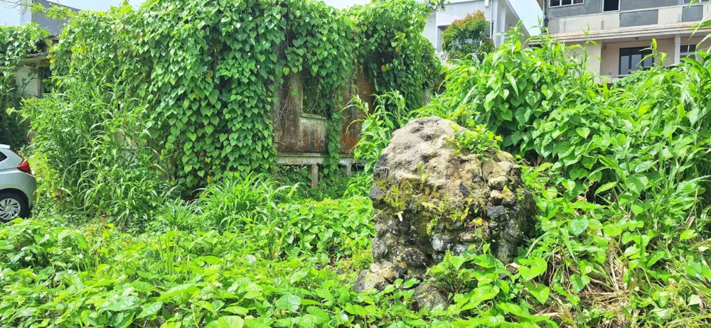 Residential vacant land for sale in Curepipe, Mauritius - MUR1735222 Residential vacant land for sale in Curepipe, Mauritius - MUR1735222