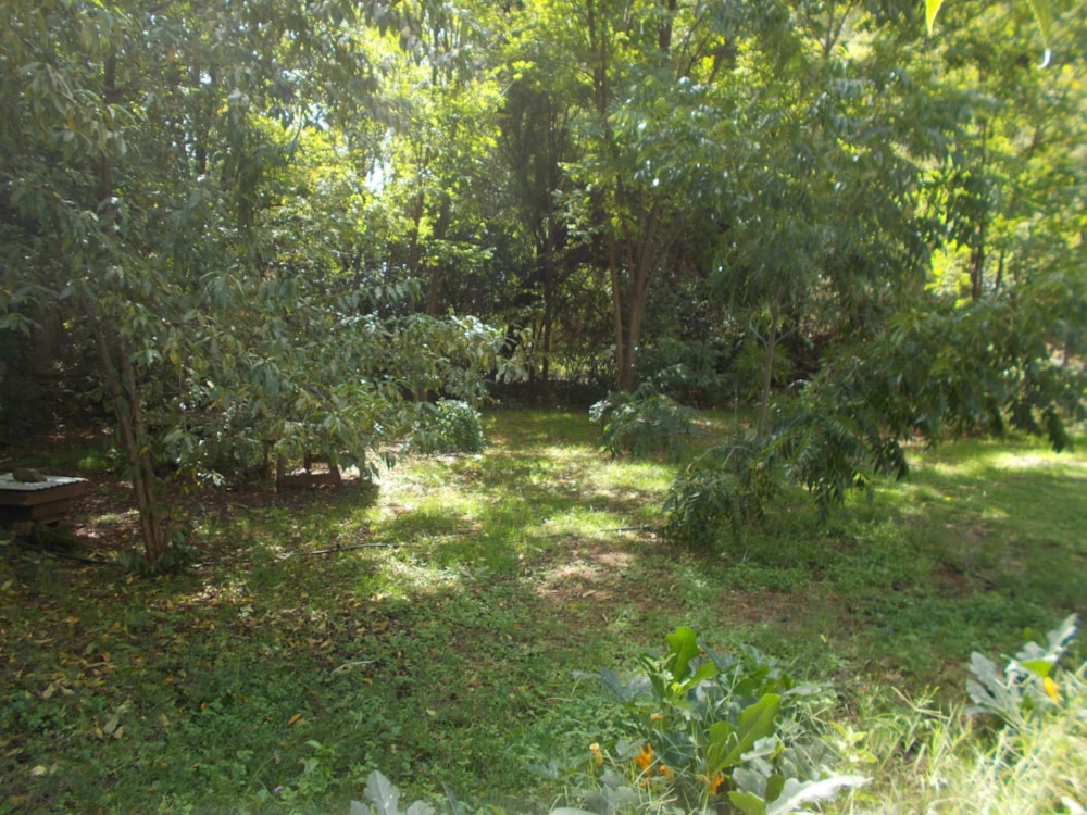 House for sale in Bethulie - 1KK1735551 House for sale in Bethulie - 1KK1735551