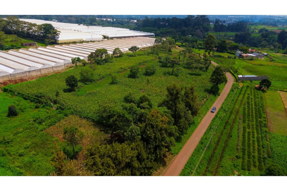 Vacant land for sale in Tigoni, Kenya - 3KE1735475