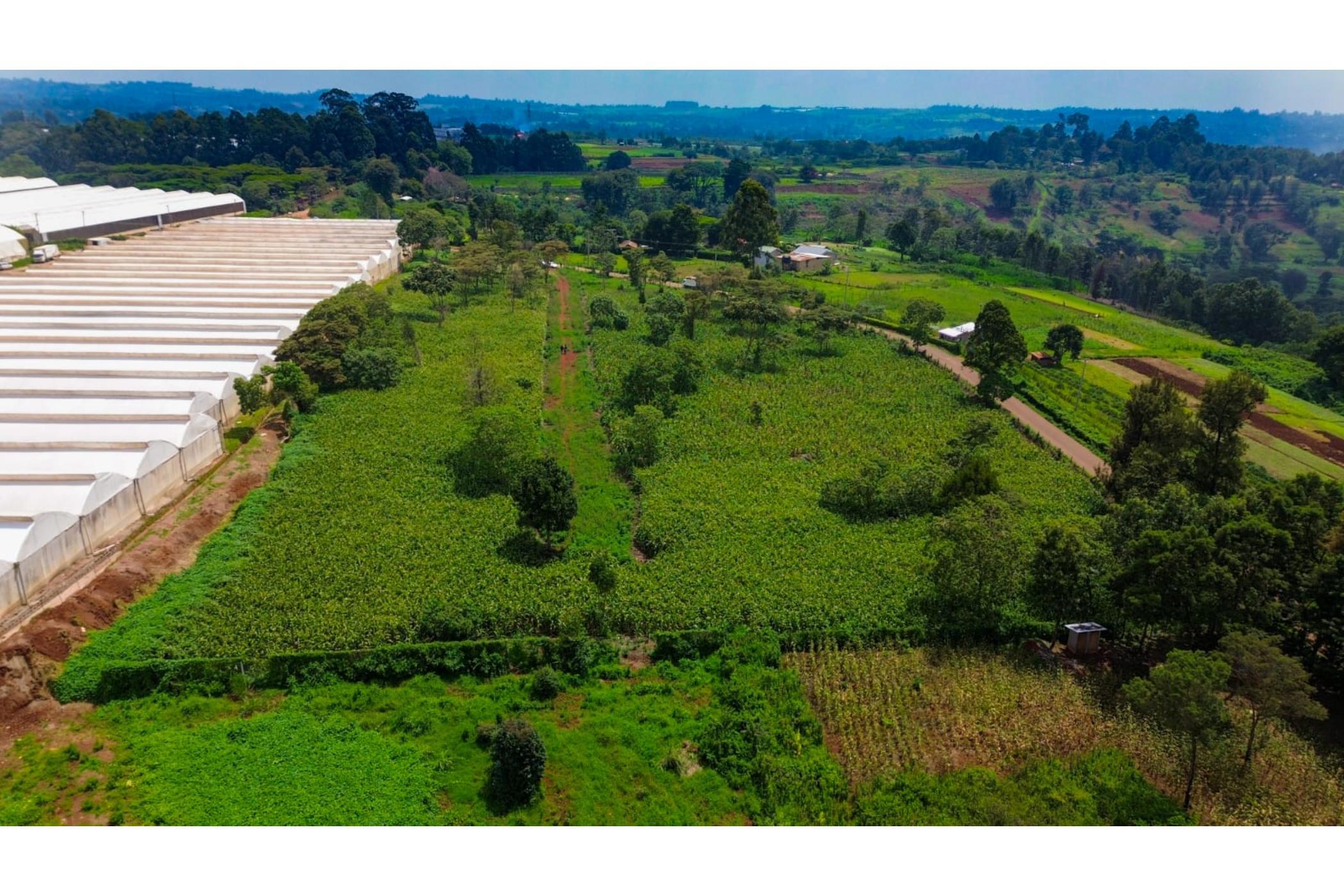 Vacant land for sale in Tigoni, Kenya - 3KE1735481