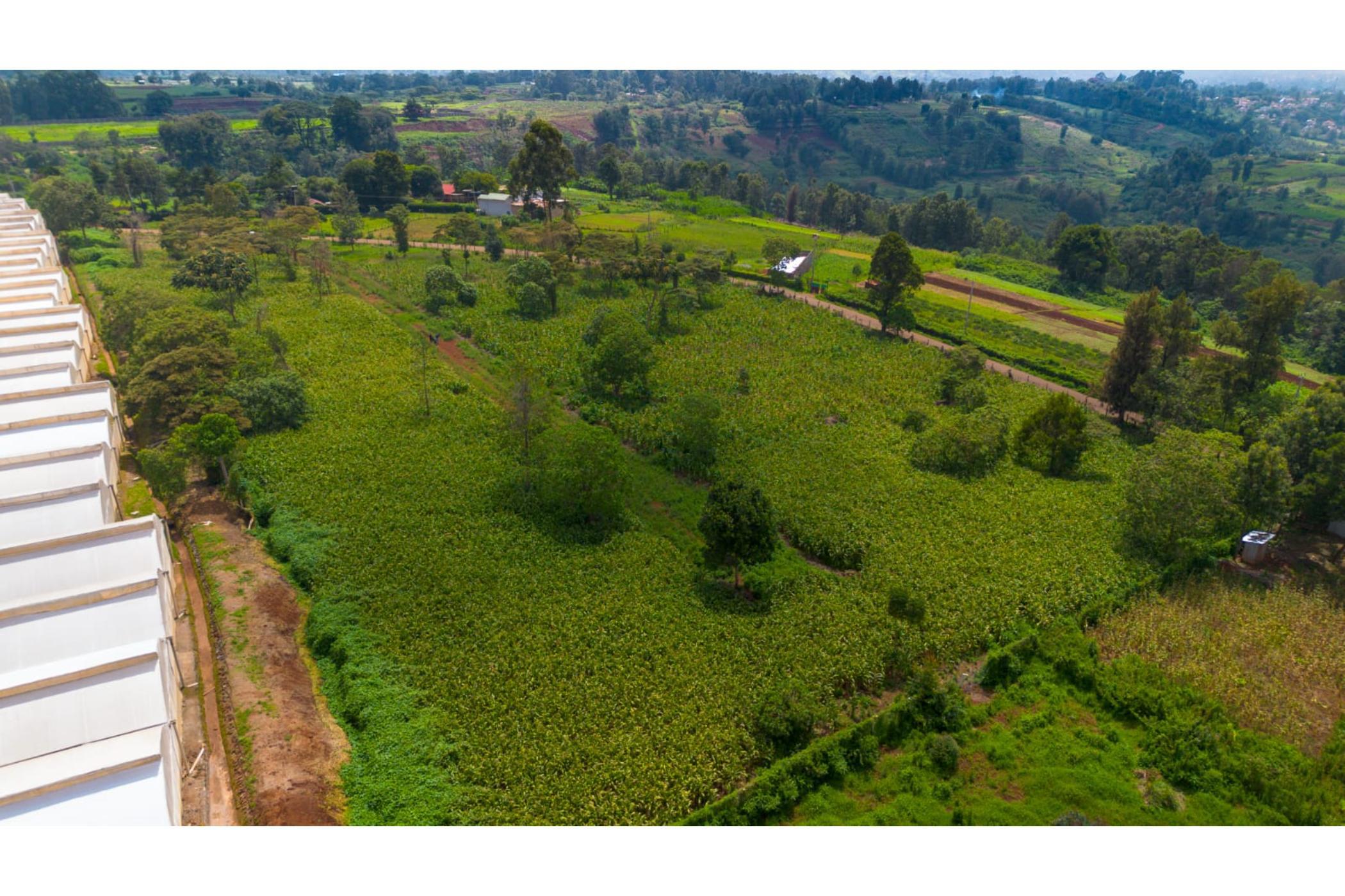 Vacant land for sale in Tigoni, Kenya - 3KE1735491