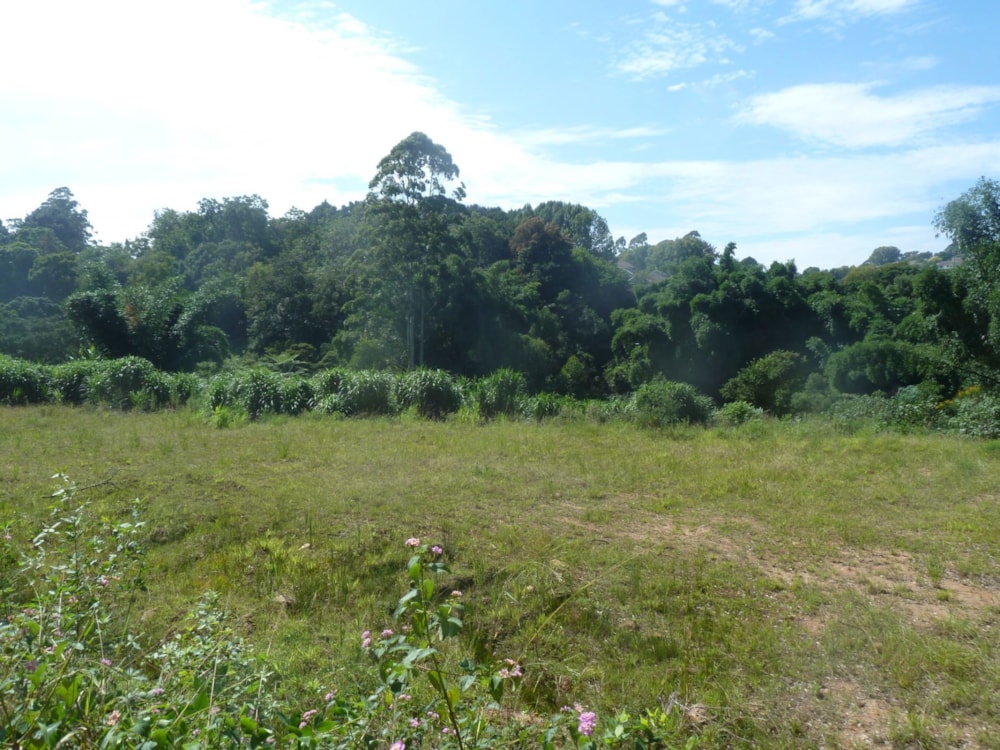 Residential vacant land for sale in Assagay - 1KF1735541 Residential vacant land for sale in Assagay - 1KF1735541