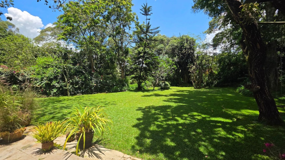 Cottage to rent in Karen, Kenya - 3KE1735703 Cottage to rent in Karen, Kenya - 3KE1735703