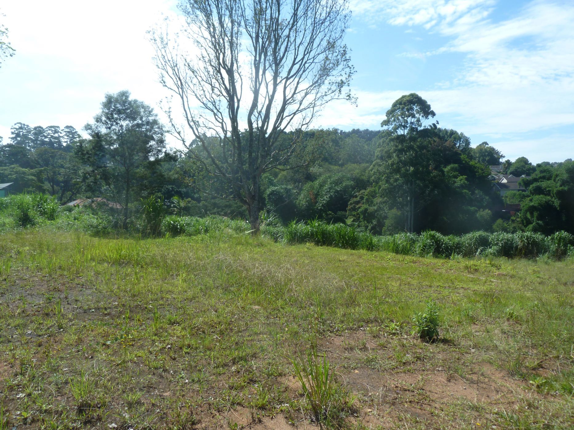 Residential vacant land for sale in Assagay - 1KF1735549