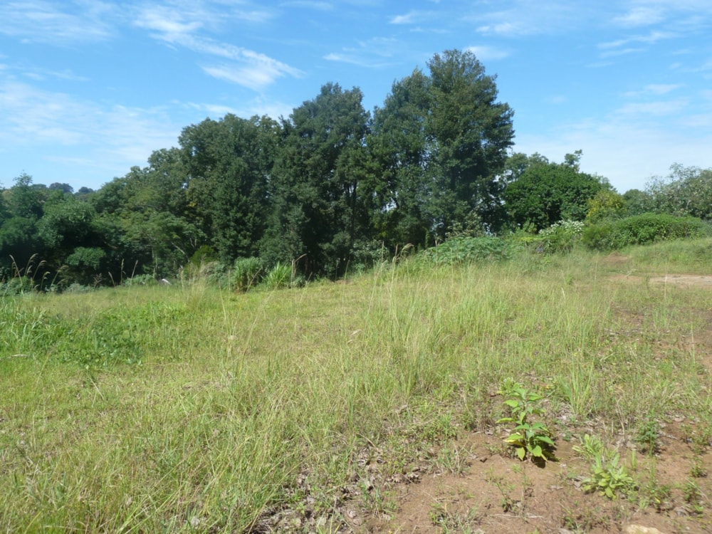 Residential vacant land for sale in Assagay - 1KF1735549 Residential vacant land for sale in Assagay - 1KF1735549