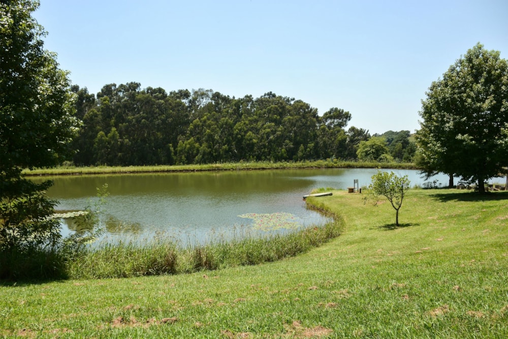 Country resort for sale in Kamberg - 1PM1734284