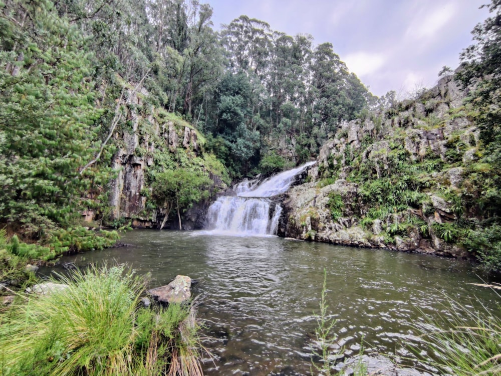 Mixed use farm for sale in Dullstroom - 1DS1733882