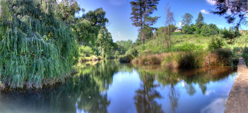 Mixed use farm for sale in Dullstroom - 1DS1733882