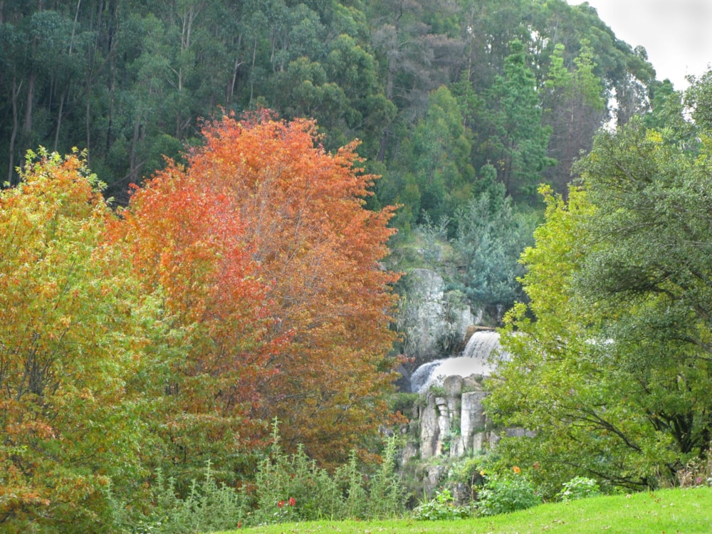 Mixed use farm for sale in Dullstroom - 1DS1733882 Mixed use farm for sale in Dullstroom - 1DS1733882