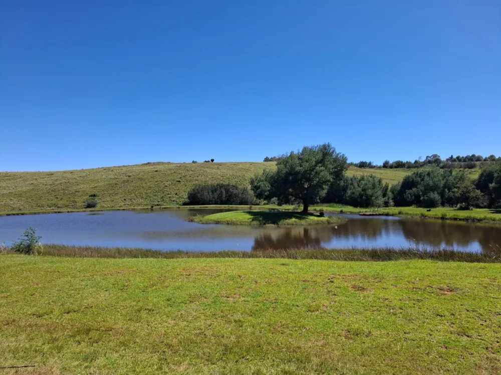 Game farm for sale in Dullstroom - 1DS1734028 Game farm for sale in Dullstroom - 1DS1734028