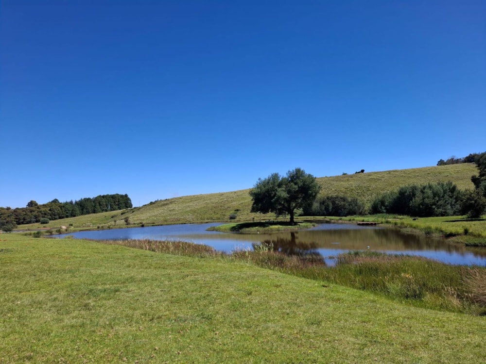 Game farm for sale in Dullstroom - 1DS1734028