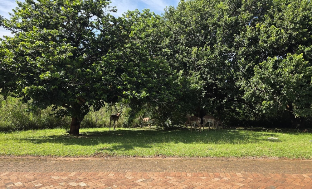 Vacant land for sale in Leisure Bay - 1PD1162108 Vacant land for sale in Leisure Bay - 1PD1162108