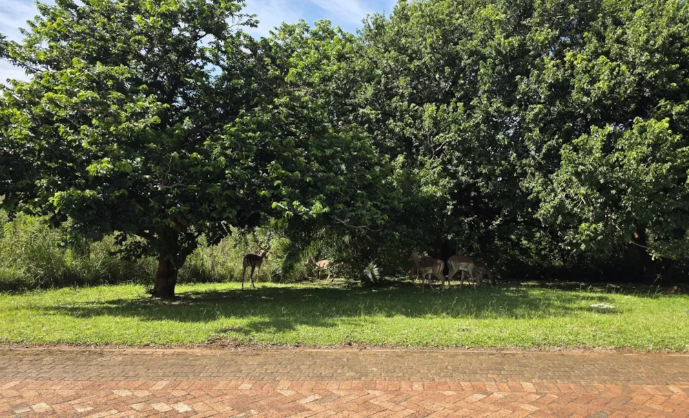 Vacant land for sale in Leisure Bay - 1PD1162116 Vacant land for sale in Leisure Bay - 1PD1162116