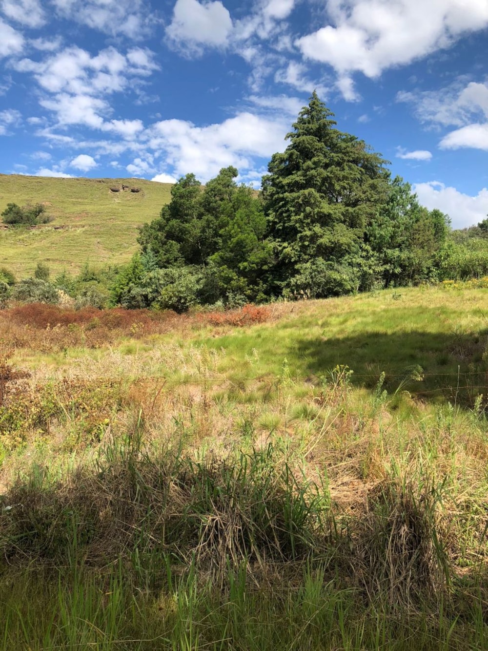 Residential vacant land for sale in Underberg - 1UB1710961