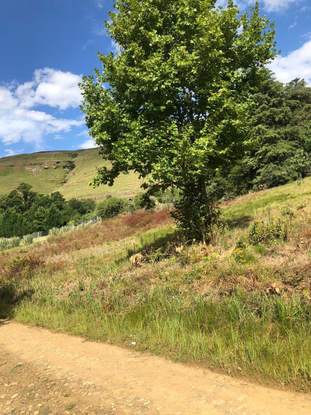 Residential vacant land for sale in Underberg - 1UB1710961