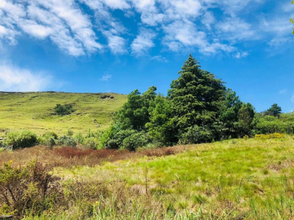 Residential vacant land for sale in Underberg - 1UB1710961