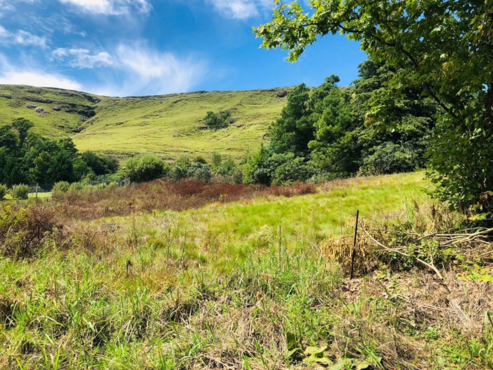 Residential vacant land for sale in Underberg - 1UB1710961