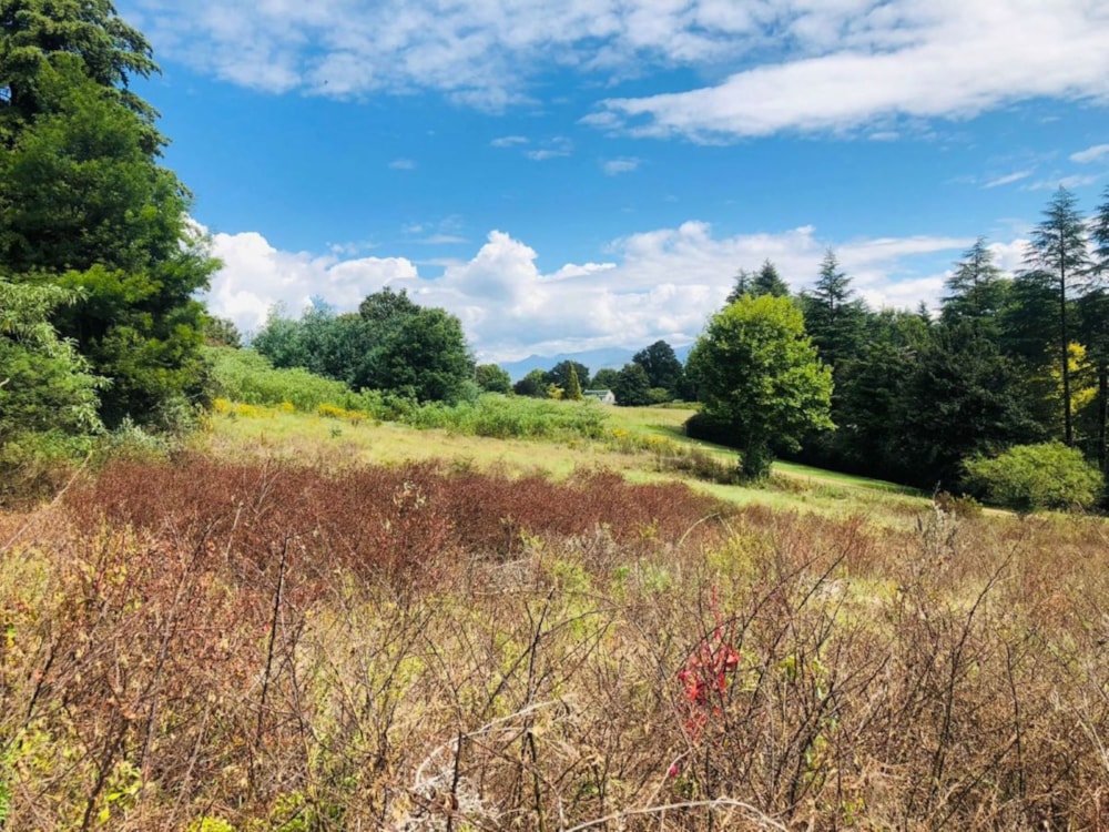 Residential vacant land for sale in Underberg - 1UB1710961