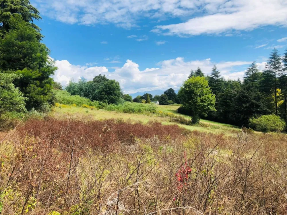 Residential vacant land for sale in Underberg - 1UB1710961 Residential vacant land for sale in Underberg - 1UB1710961