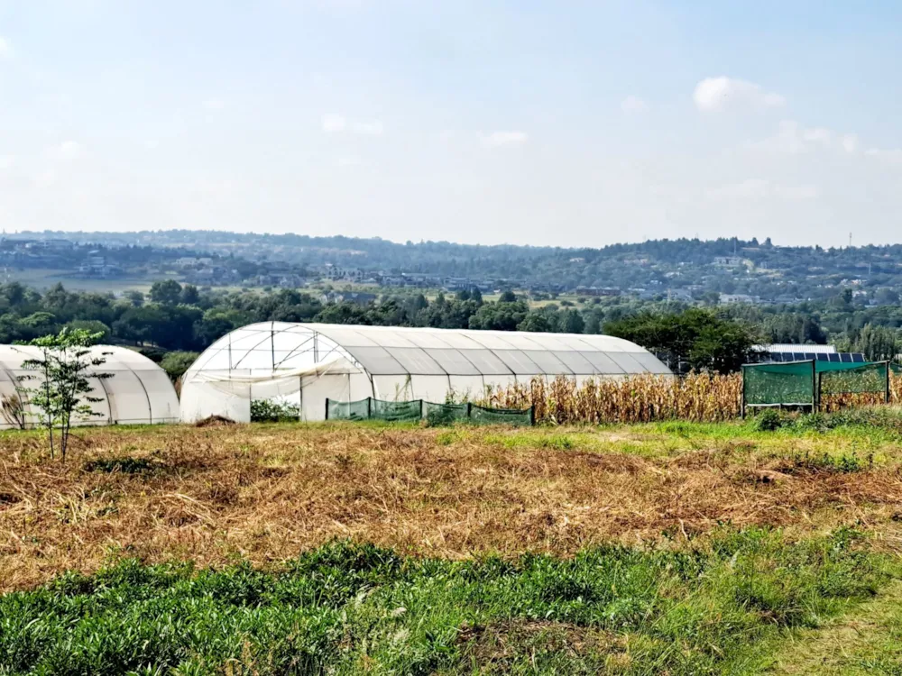 Residential vacant land sold in Sun Valley, Midrand - MR1729799 Residential vacant land sold in Sun Valley, Midrand - MR1729799