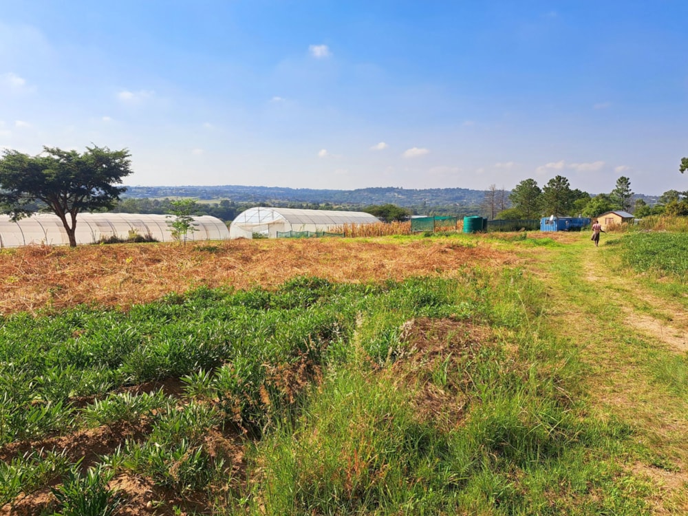 Residential vacant land for sale in Sun Valley, Midrand - MR1729799 Residential vacant land for sale in Sun Valley, Midrand - MR1729799