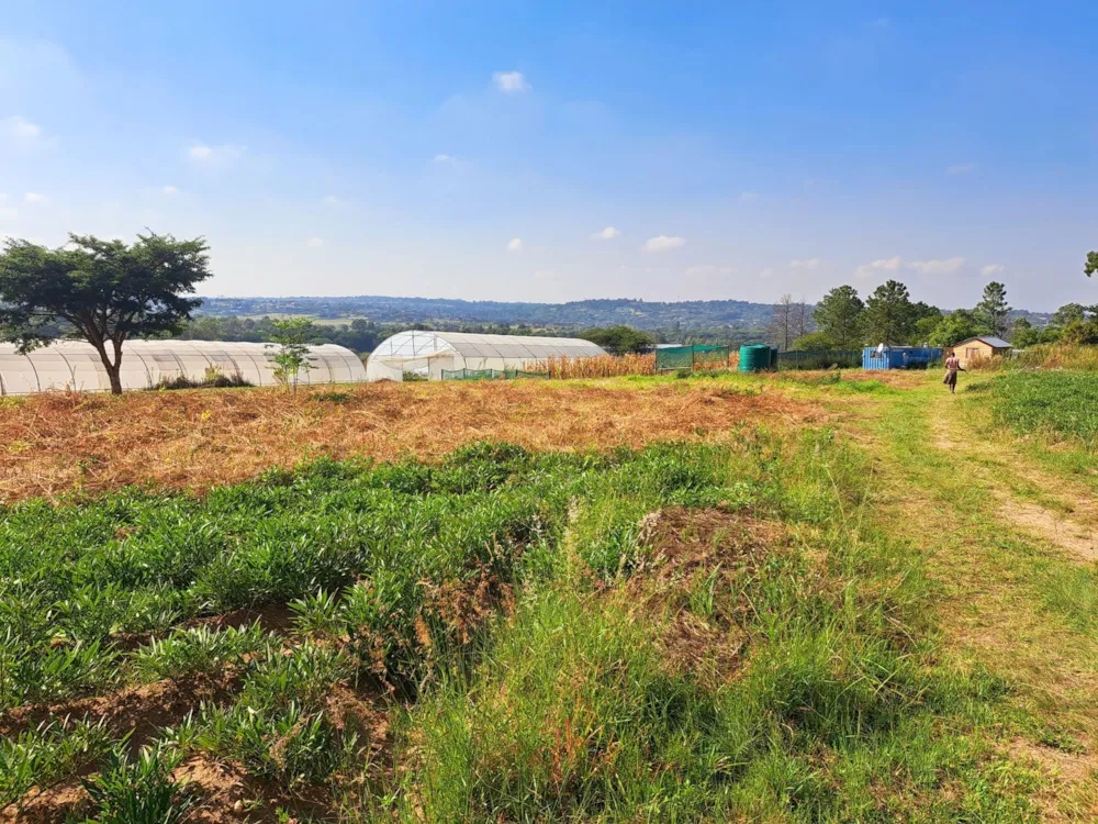 Residential vacant land sold in Sun Valley, Midrand - MR1729799 Residential vacant land sold in Sun Valley, Midrand - MR1729799