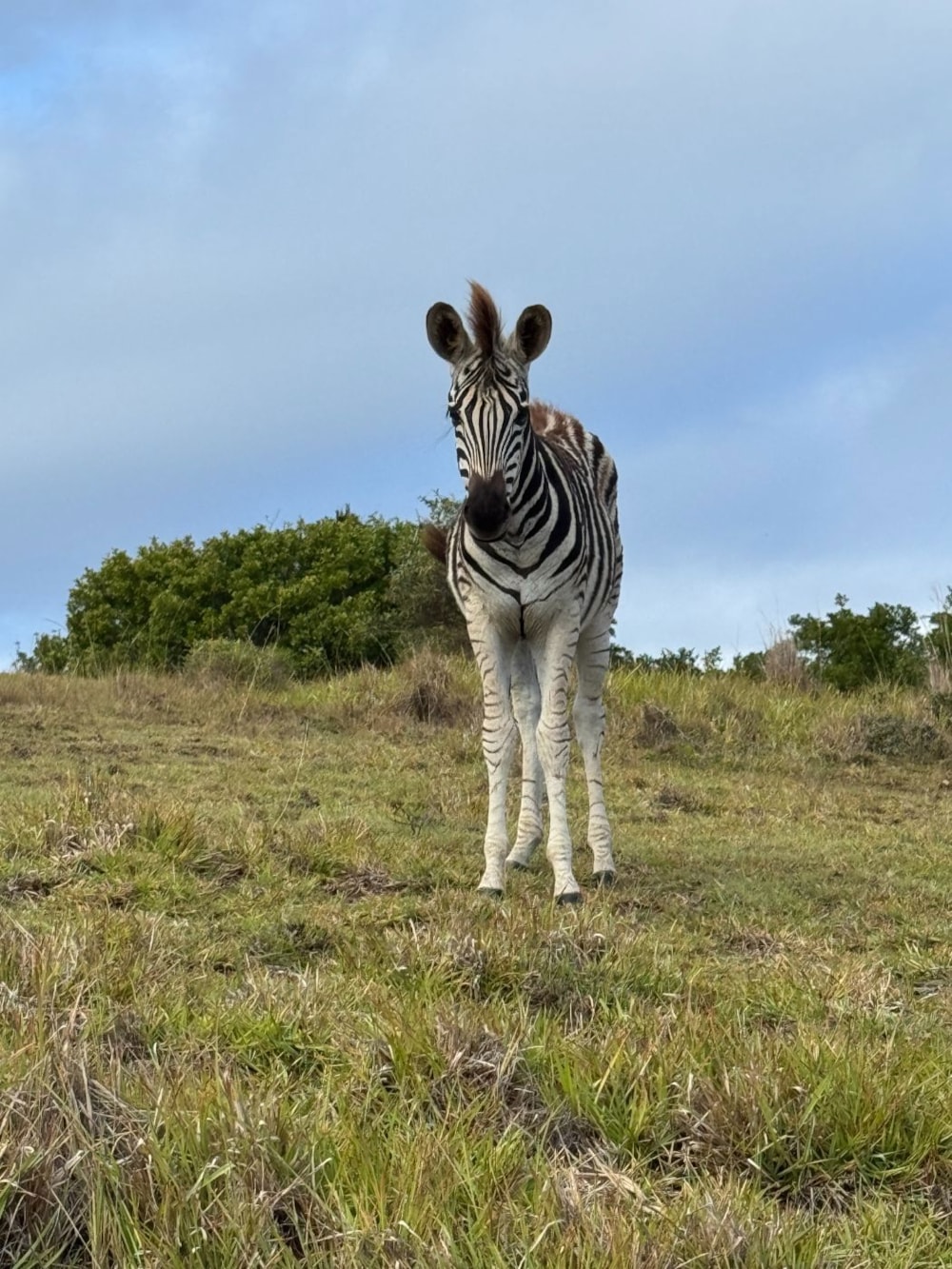 Vacant land for sale in Kenton Eco Estate - 1KO1734828