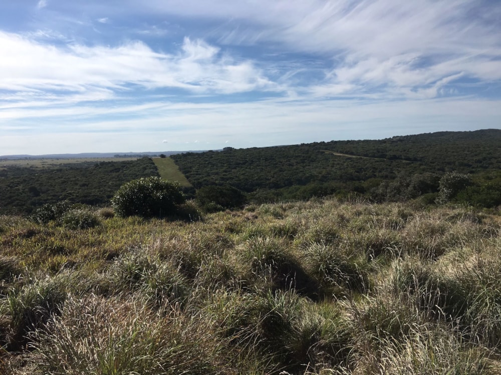 Vacant land for sale in Kenton Eco Estate - 1KO1734828