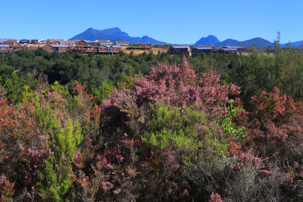 Residential vacant land for sale in Welgelegen Estate - GEO1732992