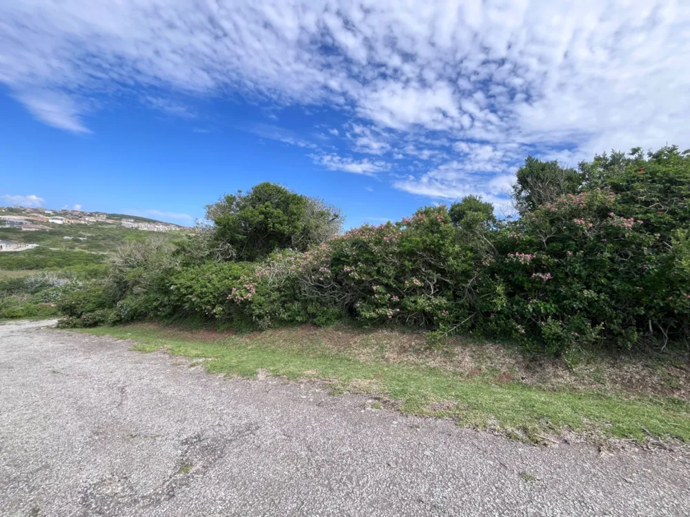 Residential vacant land for sale in Forest Downs - 1PF1735138