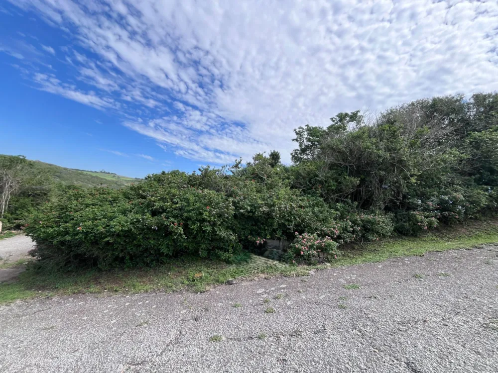 Residential vacant land for sale in Forest Downs - 1PF1735138