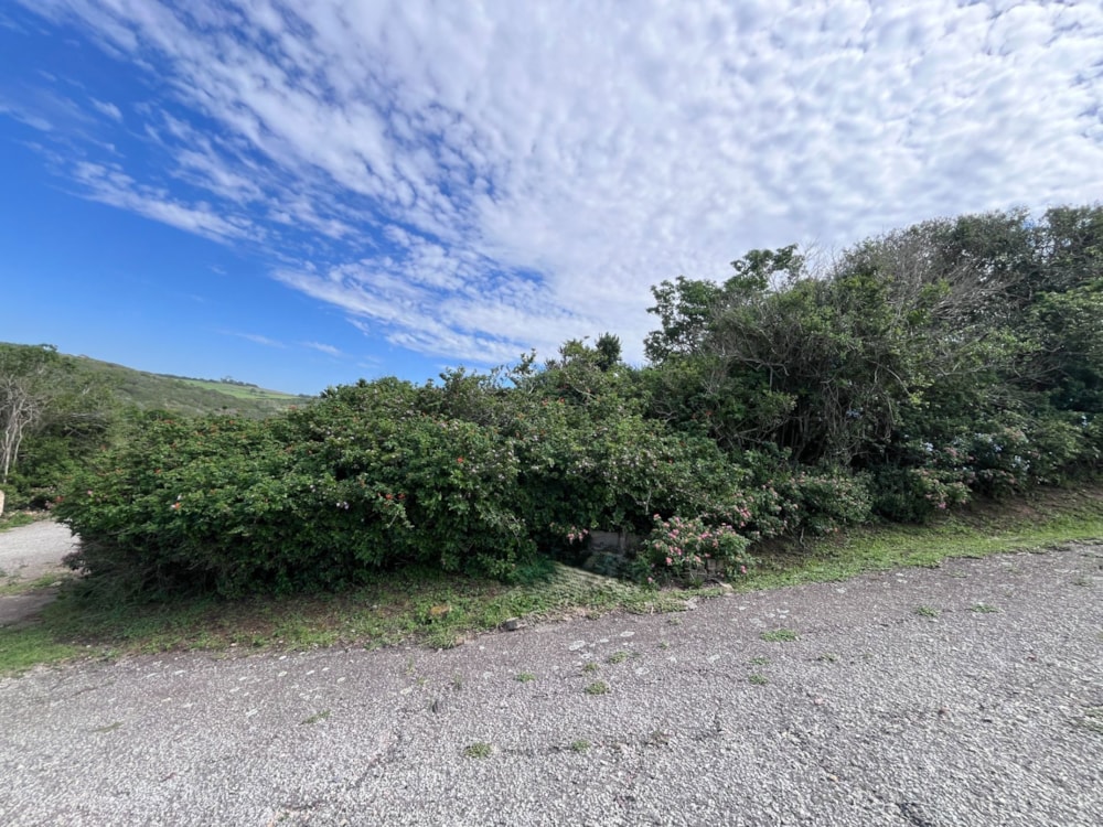 Residential vacant land for sale in Forest Downs - 1PF1735138