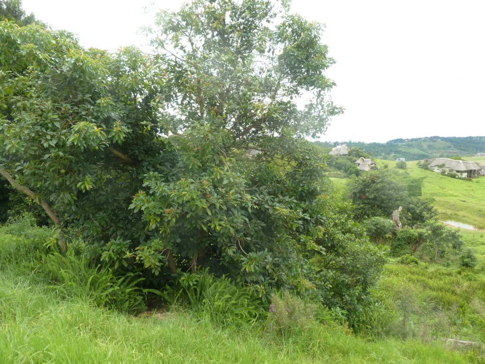 Residential vacant land for sale in Phezulu Estate - 1KF1732320