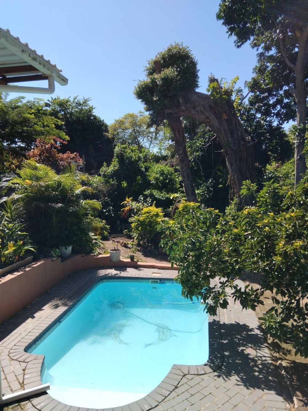 Double-storey house for sale in Pennington - 1SI1734340 Double-storey house for sale in Pennington - 1SI1734340