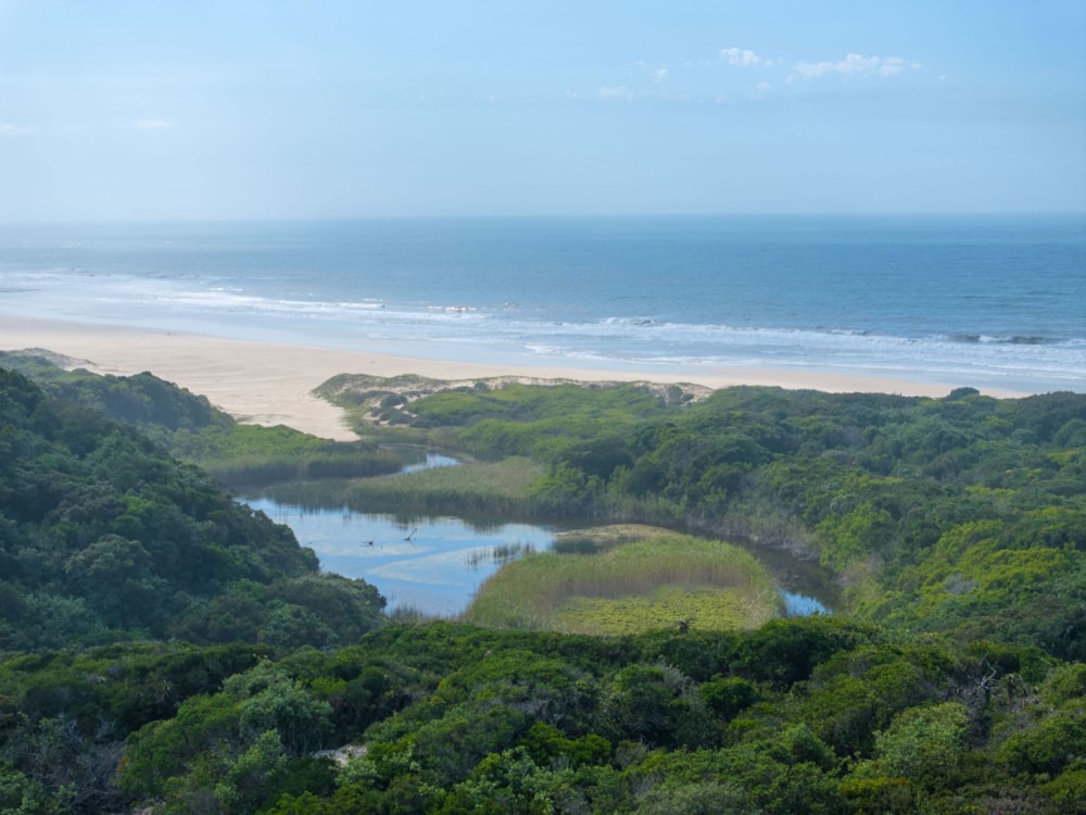 Smallholding for sale in Port Alfred - 1PF1735228 Smallholding for sale in Port Alfred - 1PF1735228