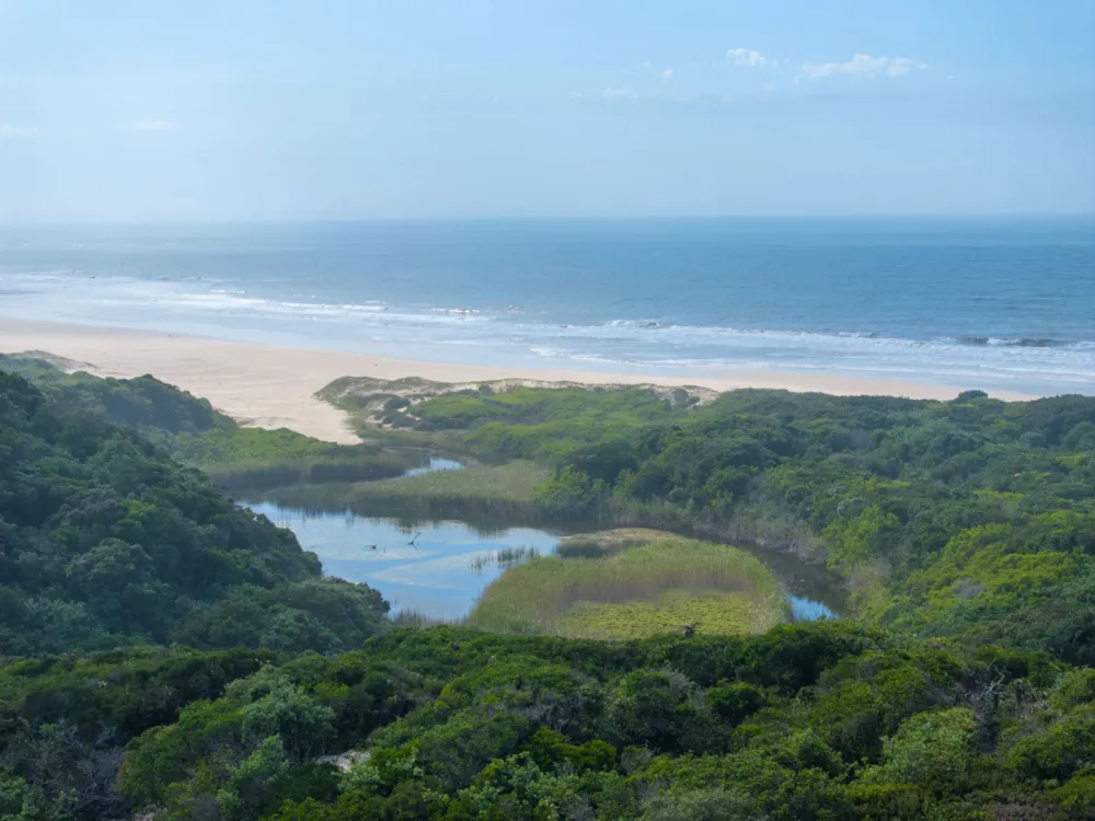 Smallholding for sale in Port Alfred - 1PF1735228 Smallholding for sale in Port Alfred - 1PF1735228