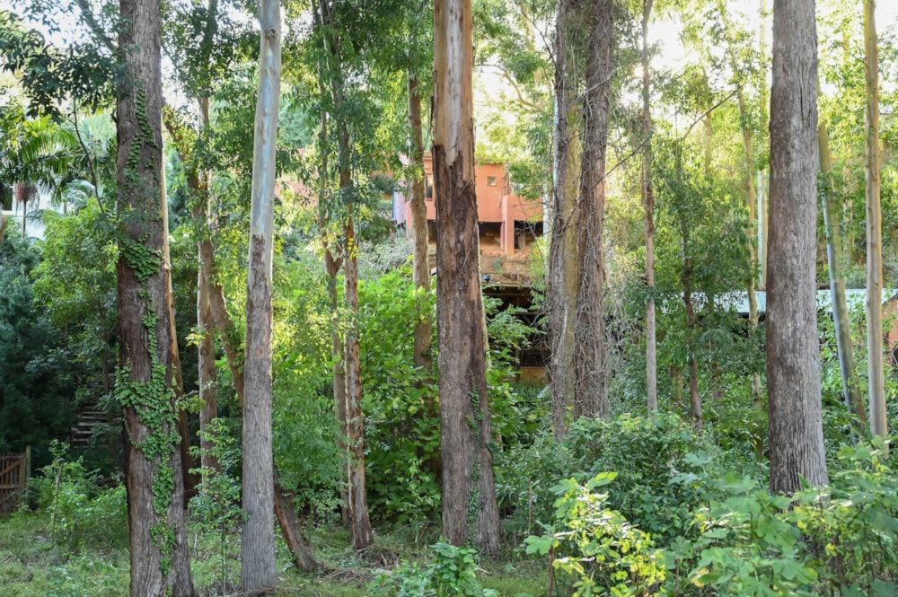 House for sale in Golden Hill - SW1737940