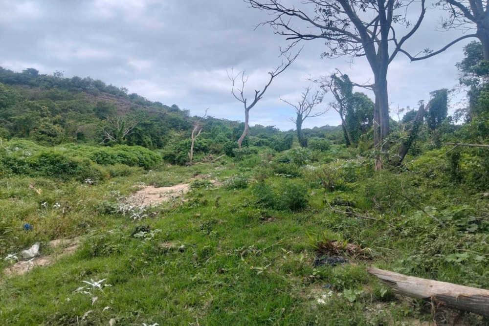 Vacant land for sale in Amanzimtoti - 1WB1442742