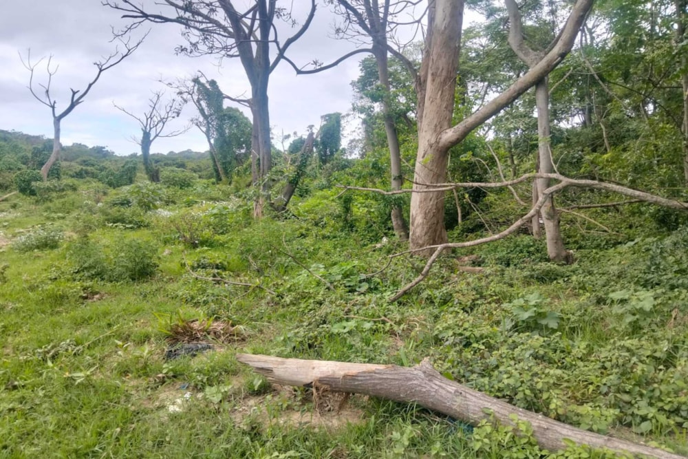 Vacant land for sale in Amanzimtoti - 1WB1442742