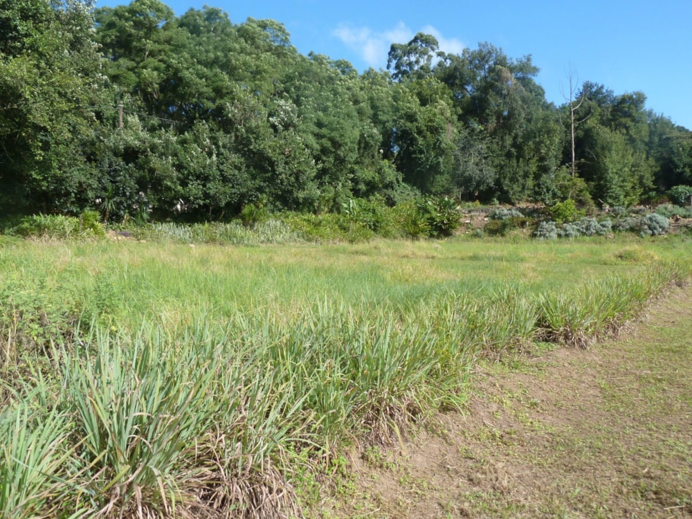 House for sale in Crestholme - 1KF1738258