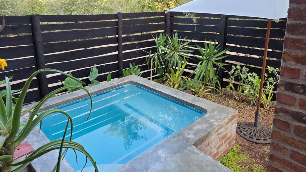House to rent in Marloth Park - 1NK1737278 House to rent in Marloth Park - 1NK1737278