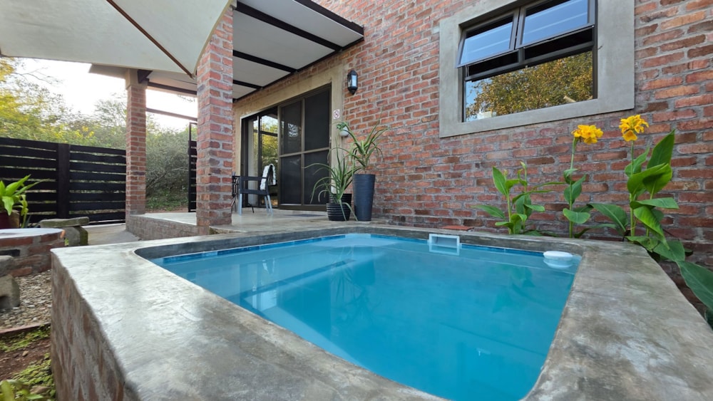 House to rent in Marloth Park - 1NK1737278 House to rent in Marloth Park - 1NK1737278