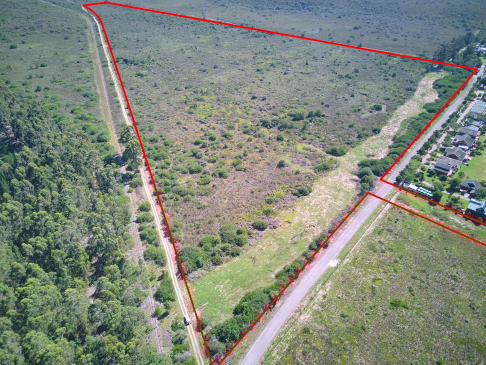 Mixed use farm for sale in Sedgefield Rural - 1SH1632557