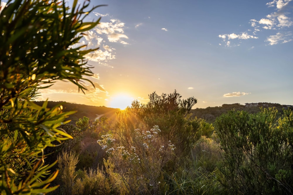 Vacant land for sale in Pezula Private Estate - 1KG1734552