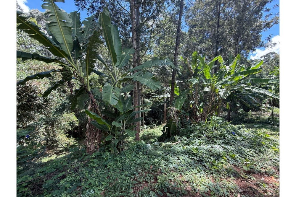 Vacant land for sale in Kitisuru, Kenya - 3KE1731683