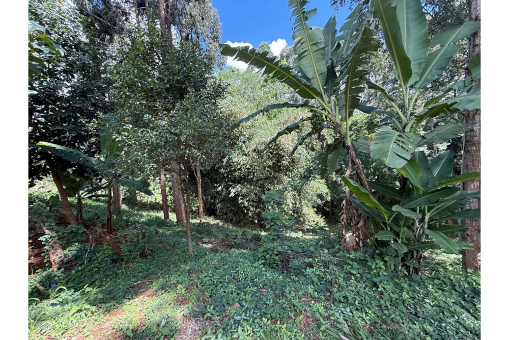 Vacant land for sale in Kitisuru, Kenya - 3KE1731683