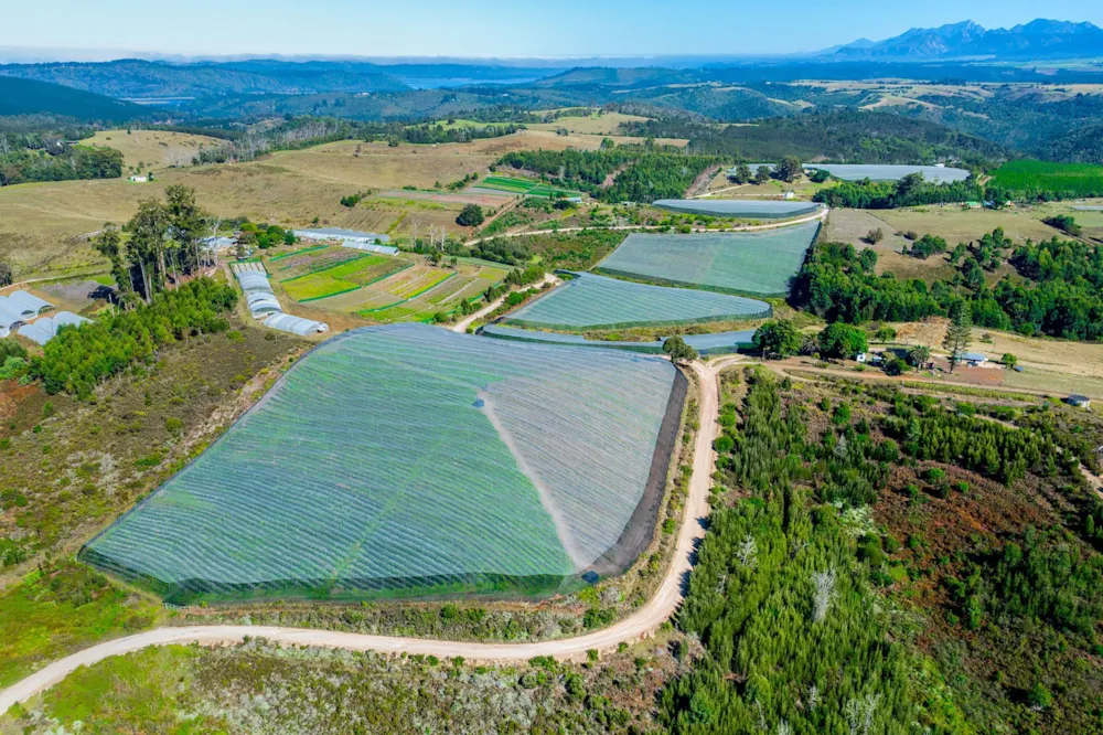 Irrigation farm for sale in Sedgefield Rural - 1SH1711025 Irrigation farm for sale in Sedgefield Rural - 1SH1711025